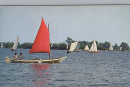 Delcampe - Nederland Giethoorn Zeilen In Punter Grachten Natuur Unposted #SCG744 - Giethoorn