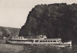 Delcampe - Deutschland Loreley Rhein MS Prinses Irene Flusslandschaft Real Photo #SCG440 - Loreley
