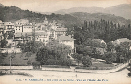Delcampe - Argelès Gazost * Un Coin De La Ville , Route , Vue De L'hôtel Du Parc - Argeles Gazost