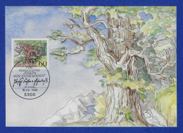 Delcampe - BRD 1988  Mi.Nr. 1356 , Joseph Freiherr Von Eichendorff - Maximum Card - Erstausgabe Bonn 18.02.1988 - 1981-2000