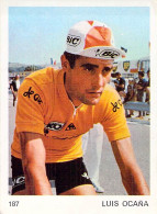Delcampe - CYCLISME: CYCLISTE : CHROMO BELGE - Cyclisme