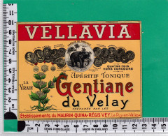 Delcampe - AL370  ETIQUETTE GENTIANE DU VELLAY VELLAVIA MAURIN QUINA REGIS VEY LE PUY EN VELAY ELEPHANT AVANT 1910 - Autres & Non Classés