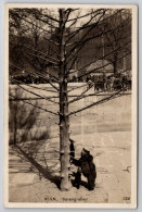 Delcampe - Bern Barengraben Carte Postale Postcard - Bern