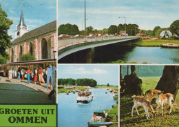 Delcampe - Nederland Ommen Overijssel Rivier Vecht Kerk Brug Herten Landschap #SCH201 - Ommen