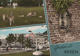Delcampe - Nederland Assen Multi Zicht Hertenpark Architectuur Waterpomp Verstuurd #SCH112 - Assen