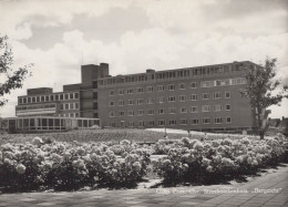 Delcampe - Nederland Goes Streekziekenhuis Bergzicht Real Photo Unposted #SCH079 - Goes