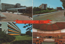 Delcampe - Nederland Oss St Anna Ziekenhuis Architectuur #SCH060 - Löwen