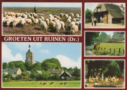 Delcampe - Nederland Ruinen Dorpsgezichten Schapen Kerk En Terras Gefrankeerd #SCG947 - Sonstige & Ohne Zuordnung