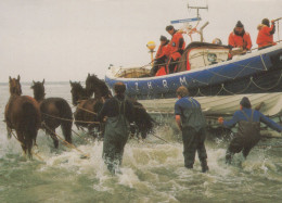 Delcampe - Nederland Ameland Reddingboot Lancering Met Paarden Kust Afgestempeld #SCG871 - Ameland