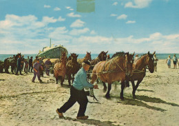 Delcampe - Nederland Ameland Hollum Reddingboot Door Paarden Getrokken Oblitereerd #SCG867 - Ameland