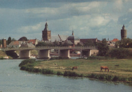 Delcampe - Nederland Leerdam Stadsgezicht Met Brug Rivier En Paarden Verzonden #SCG848 - Leerdam