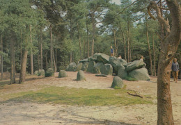 Delcampe - Nederland Emmen Hunebedden In Bos Met Mensen Verzonden #SCH716 - Emmen