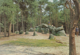 Delcampe - Nederland Emmen Hunebed Emmerdennen Bosrijk Natuurlandschap Verzonden #SCH717 - Emmen