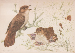Delcampe - Nederland Delft Nachtegaal Met Kuikens In Nest Illustratie Oblitereerd #SCH676 - Delft