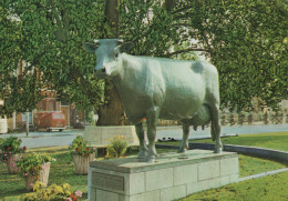 Delcampe - Nederland Leeuwarden Friesland Standbeeld Friese Stamboekkoe US Mem #SCH628 - Löwen