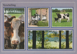 Delcampe - Nederland Terschelling Landelijk Landschap Met Koeien Oblitereerde #SCH631 - Löwen