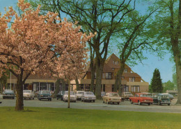 Delcampe - Nederland Borger Hotel Bieze Bloeiende Bomen Auto S Unposted #SCH486 - Sonstige & Ohne Zuordnung