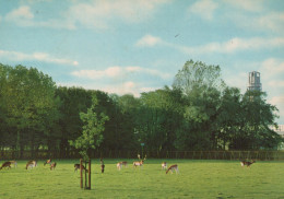Delcampe - Nederland Alphen Aan Den Rijn Alphen Aan DE Rijn Zuid Holland Hertenkamp #SCH413 - Alphen A/d Rijn