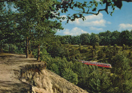 Delcampe - Nederland Nijverdal Landschap Trein Het Ravijn Oblitereerd #SCH390 - Nijverdal