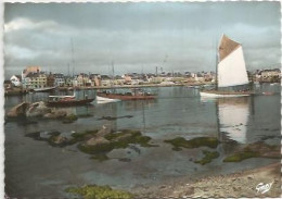Delcampe - CPSM Concarneau Thoniers Et Yacht - Concarneau