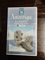 Delcampe - VHS - Antarctique: La Dernière Terre Sauvage - Andere & Zonder Classificatie