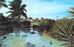 Delcampe - 1 AK Bahamas / Grand Bahama Island * Freeport - Eine Stadt Auf Der Insel Grand Bahama - Kings Inn And El Casino Area * - Bahamas