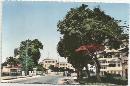 Delcampe - CPSM Cameroun Douala Route De L'aviation - Cameroun