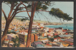Delcampe - Alger - N° 268 Le Hamma - Vue Générale Sur Alger - Edition La Cigogne - Algerien