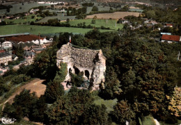 Delcampe - CPSM - BRIONNE - Le Vieux Donjon Vue Aérienne - Edition Combier - Autres & Non Classés