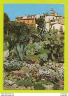 Delcampe - 06 LE CANNET Jardins De La Mairie Cactus VOIR DOS En 1972 - Le Cannet