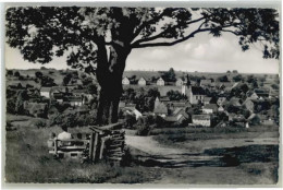 Delcampe - Vielbrunn - Michelstadt