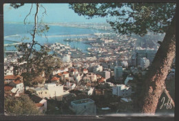 Delcampe - Alger - N° 1038 Vue Panoramique - Edition Jeff - Algerien