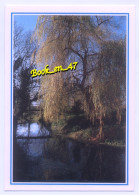 Delcampe - {105126} En Flanant Dans Le Marais Poitevin, La Venise Verte, Une Conche - Poitou-Charentes