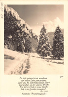 Delcampe - New Year Greetings 1966 Winter Scene Snow Pine Trees RPPC Postcard B817 - Sonstige & Ohne Zuordnung
