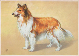 Delcampe - Nederland Bloemendaal Collie Schotse Herdershond Illustratie Oblitereerd #SCK322 - Bloemendaal