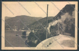 Delcampe - Varese Luino Cartolina LQ8064 - Varese