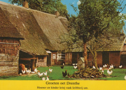 Delcampe - Nederland Landschap Boerderijen Kippen Landelijk Oblitereerd #SCK255 - Sonstige & Ohne Zuordnung