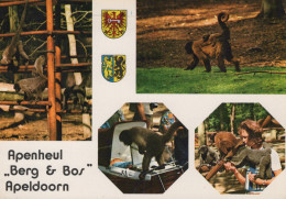 Delcampe - Nederland Apeldoorn Apenheul Zoo Apen Vrij 1976 Afgestempeld #SCK119 - Apeldoorn