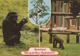 Delcampe - Nederland Apeldoorn Apenheul Gorilla S Dierenpark Geobliteerd #SCK117 - Apeldoorn
