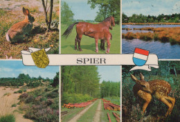 Delcampe - Nederland Spier Natuur Heide Bos Dieren Haas Paarden Reeën Geobligeerd #SCK122 - Sonstige & Ohne Zuordnung