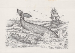 Delcampe - Ocean Whale Hunt Scene With Sailing Ship And Rowboat Unposted #SCK104 - Madrid