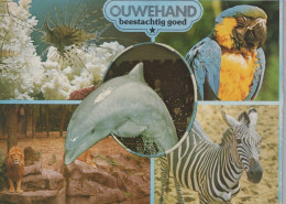 Delcampe - Nederland Rhenen Ouwehand Dierenpark Met Diverse Dieren Unposted #SCK100 - Rhenen
