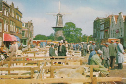 Delcampe - Nederland Leiden Schapenmarkt Molen De Valk Architectuur #SCH993 - Leiden