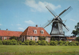 Delcampe - Nederland Ommen Historische Windmolen Met Oudheidkamer Landschap #SCH955 - Ommen