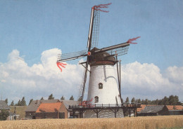 Delcampe - Nederland Scherpenisse Windmolen De Korenbloem Landschap Oblitereerd #SCH937 - Tholen