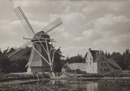 Delcampe - Nederland Arnhem Poldermolen Noordlaren Openluchtmuseum Unposted #SCH931 - Arnhem