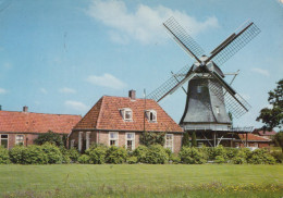 Delcampe - Nederland Ommen Windmolen Met Oudheidkamer Landschap Afgestempeld #SCH926 - Ommen