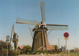 Delcampe - Nederland Rockanje Windmolen Landelijk Uitzicht Afgestempeld #SCH883 - Brielle