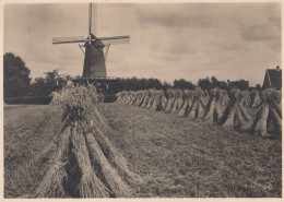 Delcampe - Nederland Bathmen Korenmolen Graanschoven Landschap Unposted #SCH876 - Deventer