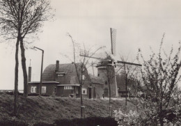 Delcampe - Nederland Stad A H Haringvliet Molen Architectuur Landschap #SCH858 - Brielle